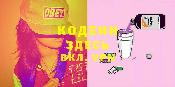 индика Ступино