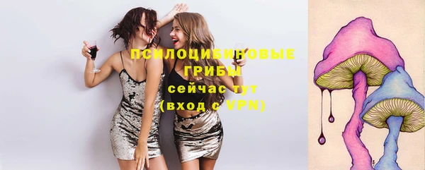 гашик Волосово