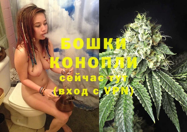 гашик Волосово