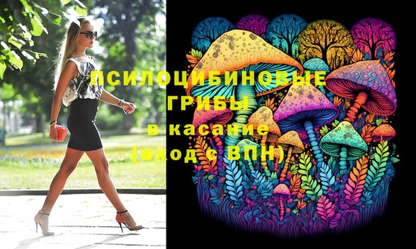 спайс Строитель
