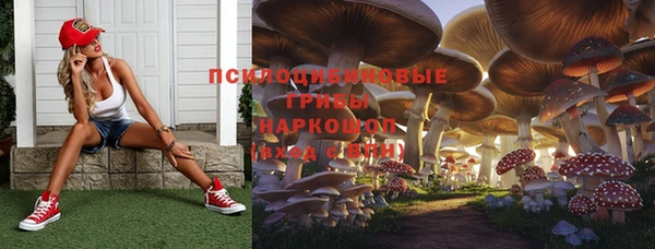 гашик Волосово