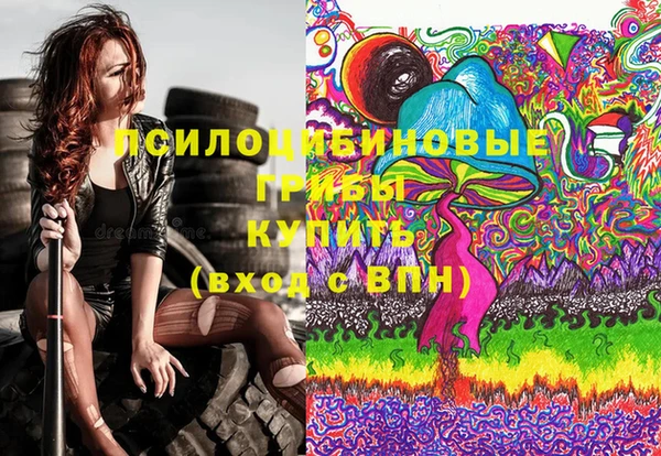 гашик Волосово
