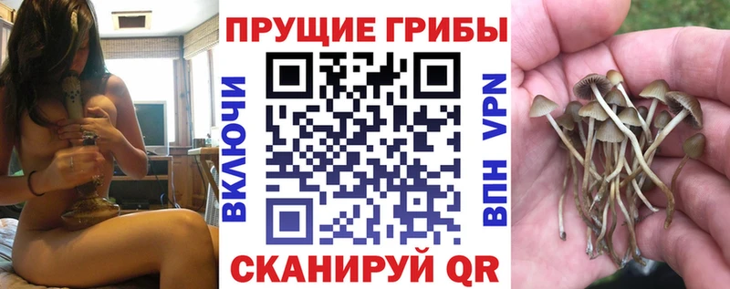 Галлюциногенные грибы ЛСД  Партизанск 
